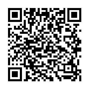 未来毕业也可能就是做一份平淡无奇的文员工作二维码生成