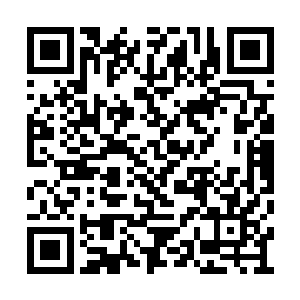 未来这可以作为铁龙宗弟子必修的一项宗门任务二维码生成