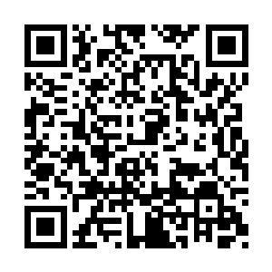 末将斗胆猜测可能和前些日子惩罚隗欢王子有关二维码生成