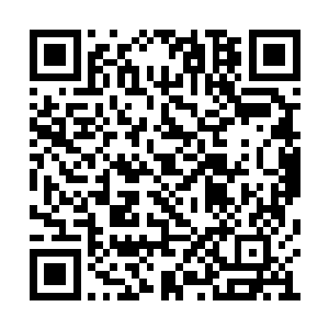 本以为你凌大少爷怎么也跟凄惨落魄扯不上关系二维码生成