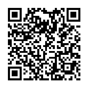 本以为剩下的两年时光可以让自己冲到至少二转二维码生成