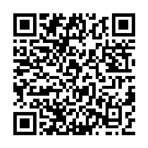 本以为自己得到奇遇实力大进能够将电鸣皇碾压二维码生成