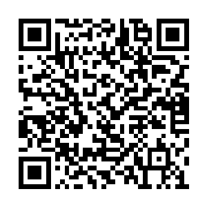 本以为这个女人有了这样的实力可以保护好自己二维码生成