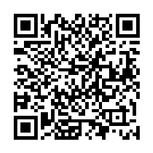 本以为那些薄雾被自己的雷霆攻击之后肯定会立刻被击溃二维码生成