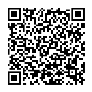 本体从灵器二品一路攀升至三品……四品……五品……六品……七品二维码生成