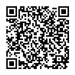 本名樊小钗的女人是个因为大柱国手腕导致家道中落的破败世家女二维码生成