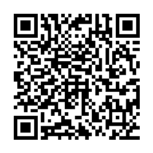 本命长刀只会比别人的更结实――长刀是他用来保命的唯一倚仗二维码生成