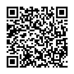 本太子可以做主将你纳入到我云峰国皇室客卿长老当中二维码生成