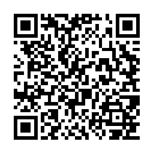本官就让你明白为什么本官的命令是不能违背的二维码生成