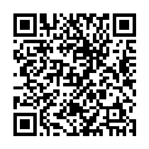 本宫都不知道自己有多少次把他当成了自己的孩子看待二维码生成