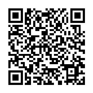 本将军也早有听闻前些年主公特意组建了一支少年军二维码生成