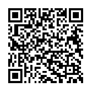 本将军保证就连一直飞鸟也休想从卫城头上飞过二维码生成