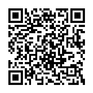 本少真是一个天才这都是们自找怪不得本少……二维码生成