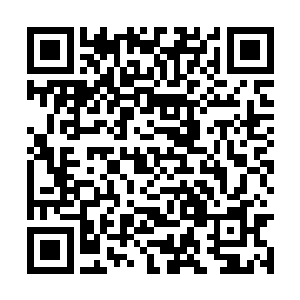 本少说不定就会将贵宗那些人找我麻烦的事给忘掉二维码生成