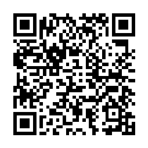 本想回头看看怎么回事的方子玉立刻提起最后一丝意识二维码生成