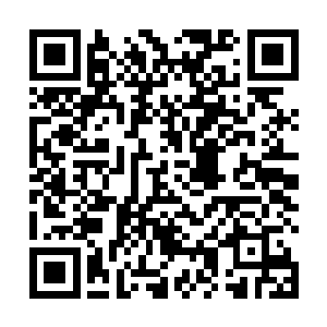 本来一直作出一副有恃无恐模样的魔魂也瞬间颤动起来二维码生成