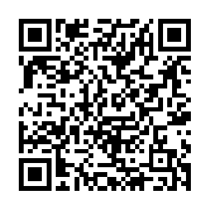 本来不多的灰烬顺着门外吹进来的风转眼间便消散了二维码生成