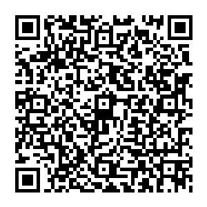 本来之前已经被杨晨众人联手用浩然正气诀镇压下来的阴寒之力竟然又从地面飞来的升起汇聚过来二维码生成