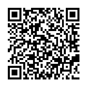 本来他还担心因为太守府退婚的事杜薇表面强装镇定二维码生成