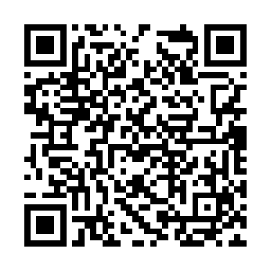 本来以此般阵容很快就能够将整个西南域扫荡一空二维码生成