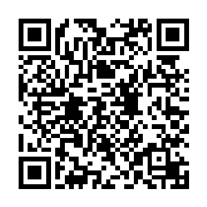 本来仰仗这太极玄水阵众人还有一定的手段和保护能力二维码生成