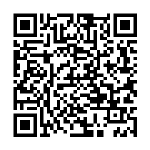 本来刚起床脑子还没清醒的青云一看这阵仗就懵了二维码生成