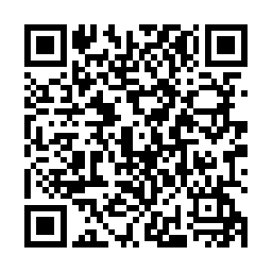本来叶惟出席前几天菲尔-柯林斯的洛杉矶演唱会的话二维码生成