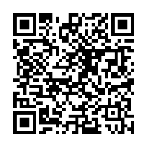 本来在修真界的时候我已经对天机派和天圣宗网开一面了二维码生成