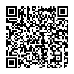 本来在缓慢融合的这一滴滴血液随着外力的冲击和孕育的中断亦出现了分解二维码生成