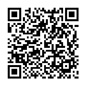 本来奔雷大帝还有些拿不准我和老转轮王的身份二维码生成