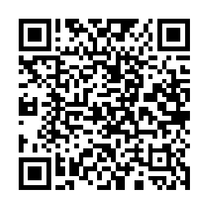 本来对于光明神殿之外的任何宗教势力她都不是很感冒二维码生成