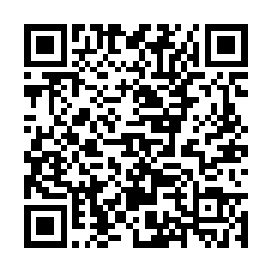 本来就不习惯穿高跟鞋的费芷柔狠狠地踉跄了一下二维码生成