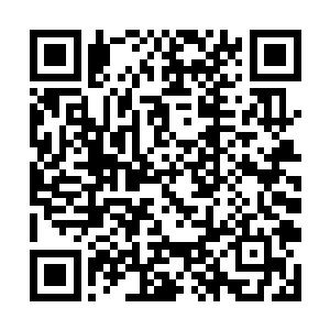 本来就对陈建家世不满意的父亲可能会给陈建脸色看二维码生成