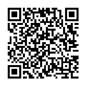 本来就是蚍蜉撼树……至少……要有蚍蜉撼树的精神……二维码生成