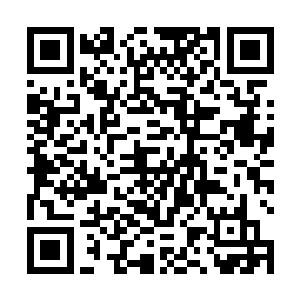 本来已经愤怒到想直接一剑撕了夏瑞泽的我看向了那边二维码生成