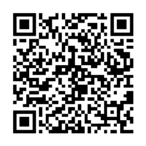 本来张小凡还想今天晚上教他们一些基础的功夫套路二维码生成