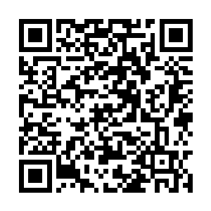本来想着他们的离开可能会让飞星的行为收敛一下二维码生成