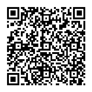 本来想着儿子莫雷可以接替上自己这个油水丰厚的工作不过这蠢货硬下了心要留在纽约二维码生成