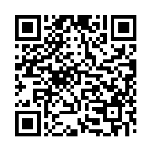 本来想要在今天将那些反贼叛逆全部诛杀二维码生成