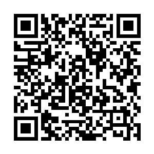 本来我以为他就是北极仙门雷霆海的创道师祖祁天阳二维码生成