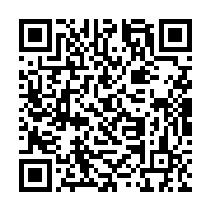 本来我还想着到了京城就可以和清婉姐同枕共眠了呢二维码生成