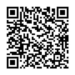 本来打算在三个月后的三院会试与你们四大青年高手一战二维码生成