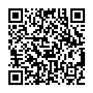 本来挡在洞口之上的那一层薄薄的屏障竟然是慢慢地消失了去二维码生成