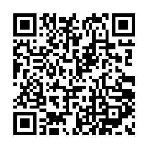 本来赵虎是不准备更改东南半岛上的家臣制度的二维码生成