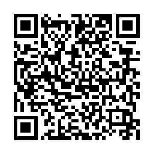 本来达到半步天仙境的实力在浑厚的药力冲击下二维码生成