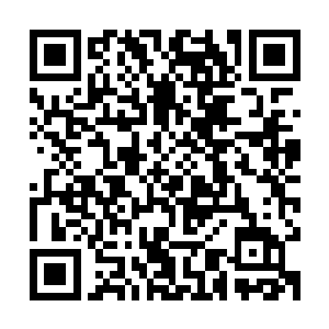 本来还顾及这几个人身上的伤刚好所以他耐着性子走的不紧不慢二维码生成