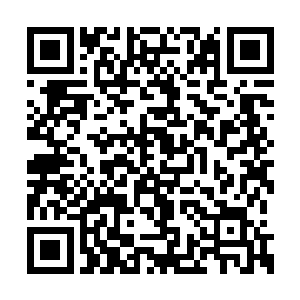 本来这位凤凰老祖存在的年代距今实在太久远了二维码生成