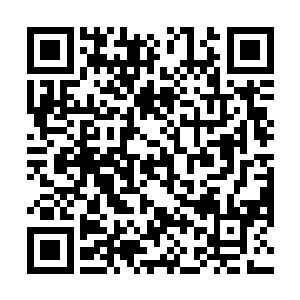 本来这是小嘴口村准备用来给来拉鱼的水产公司准备的二维码生成