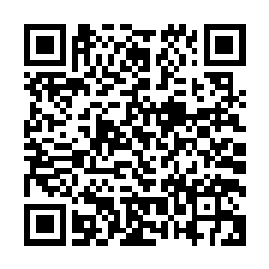 本来黎未未打算是让贝海送到了城内然后弟弟过来接自己回去二维码生成