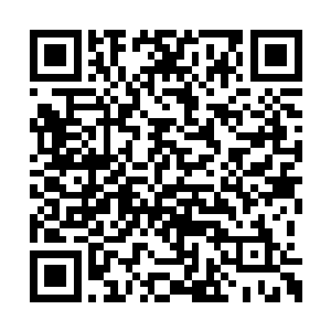 本来龙傲天想要带着许德拉还有小金两个人去的二维码生成